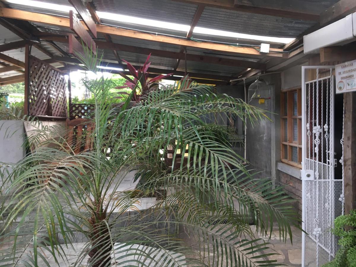 Murph'S Surf Shacks Rivas Ngoại thất bức ảnh